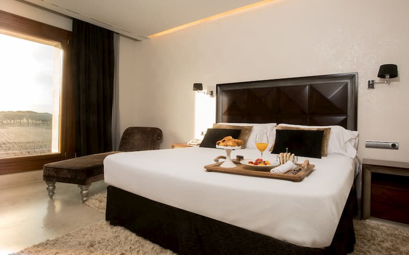 Hotel Arzuaga